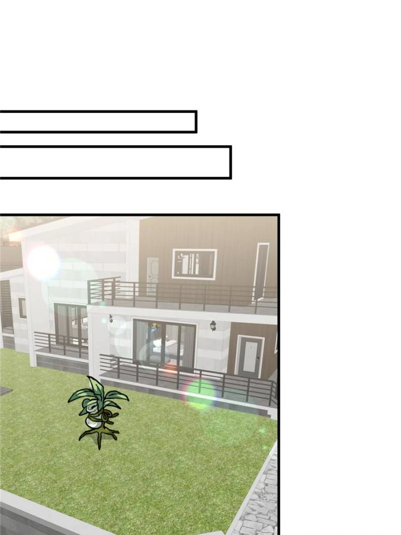 80676548 800 1067 59090